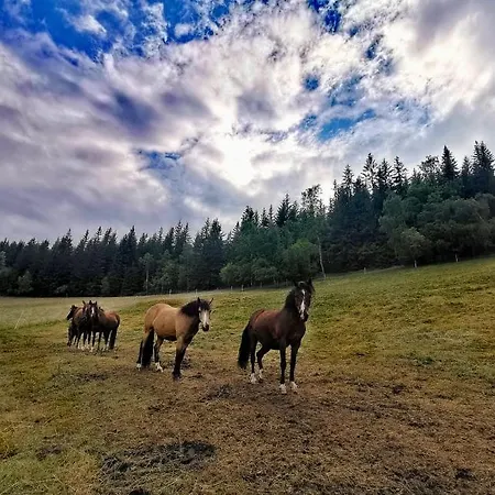 Penzion Na Vyhlidce 3*