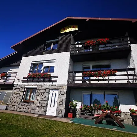 Penzion Na Vyhlidce 3*