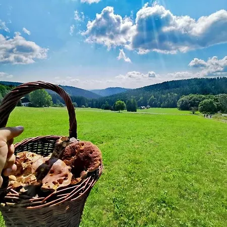 Penzion Na Vyhlidce 3*